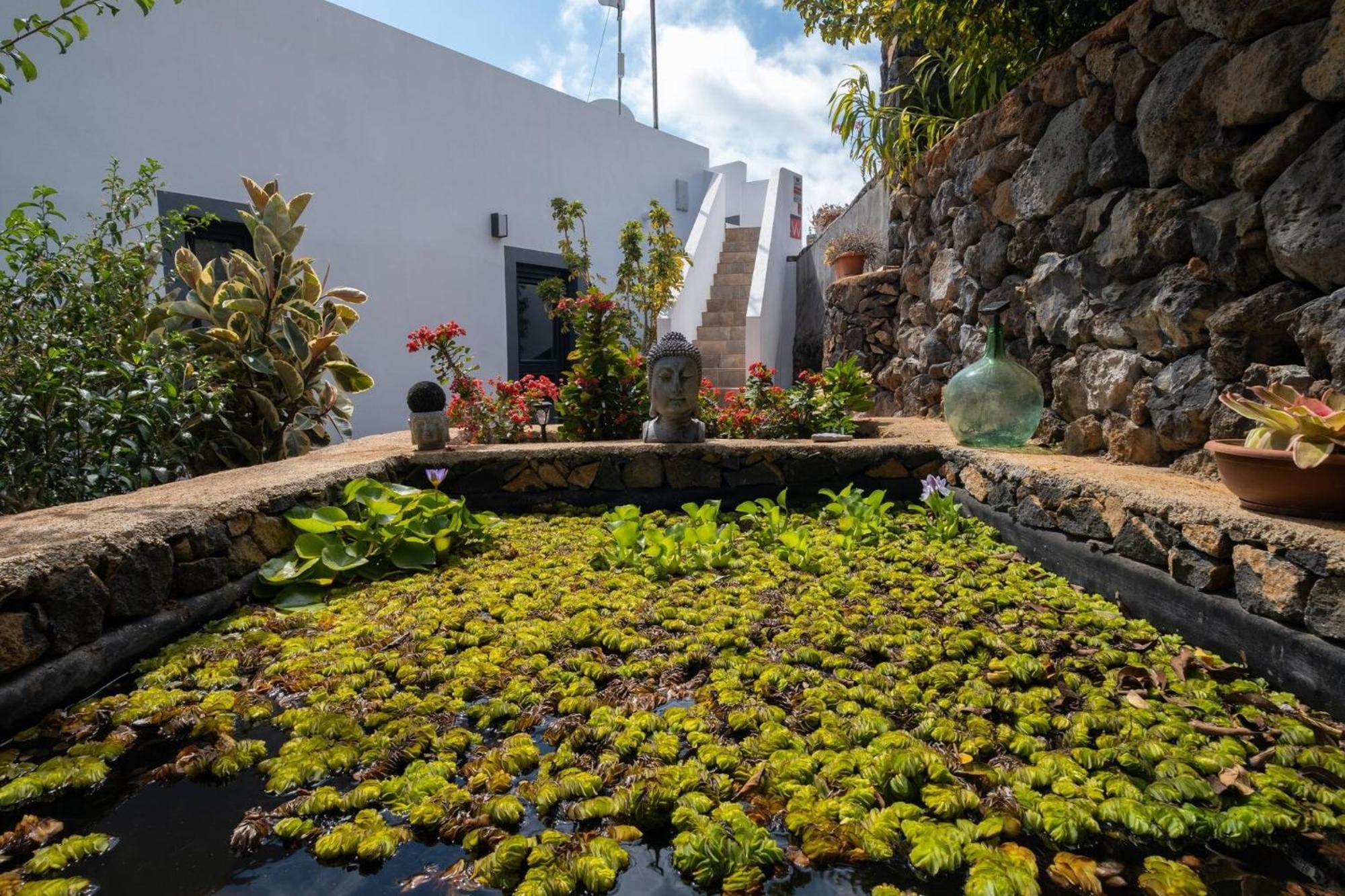 Villa La Graja By Huskalia - Private Pool 洛斯·亚诺斯·德·阿里丹 外观 照片